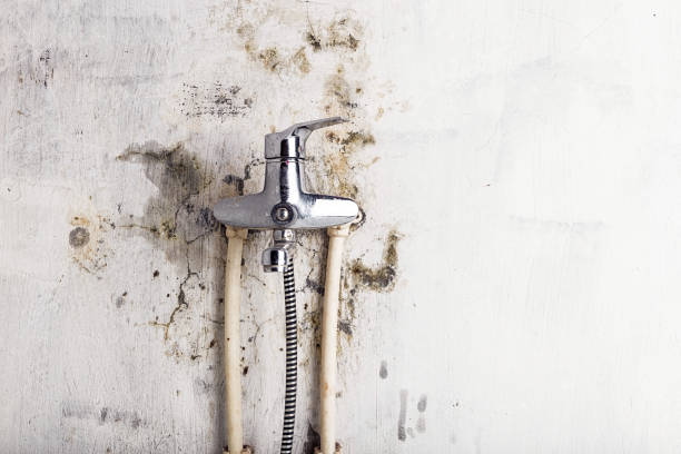  North Chicago, IL Mold Removal Pros