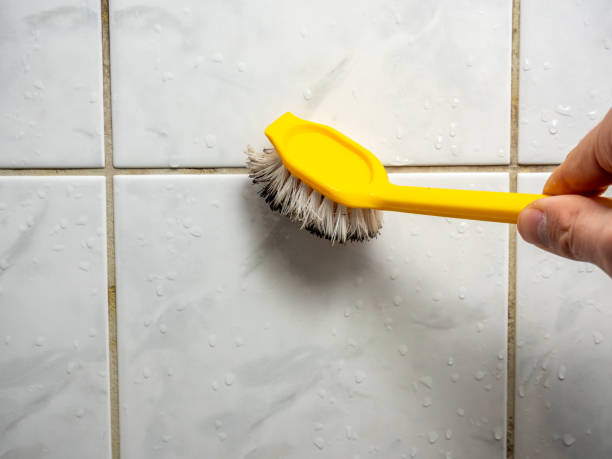 Best Office Mold Removal Services  in North Chicago, IL