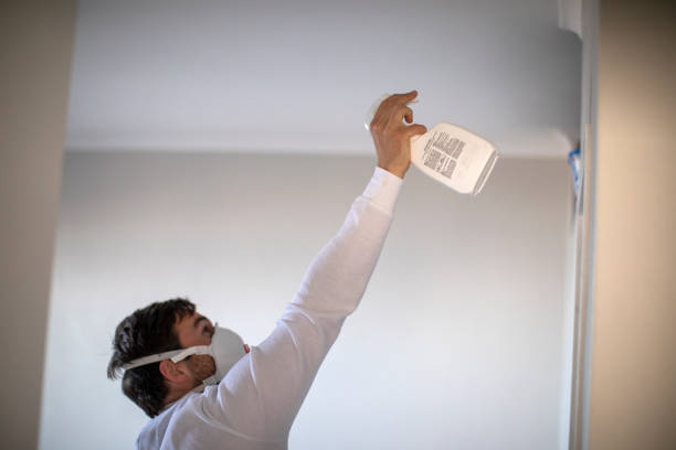 Best Black Mold Removal  in North Chicago, IL