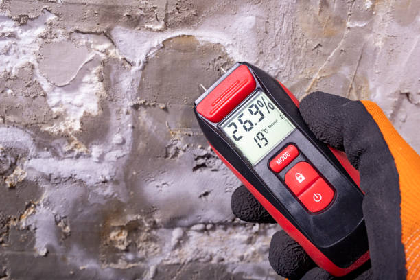 Best Mold Testing  in North Chicago, IL