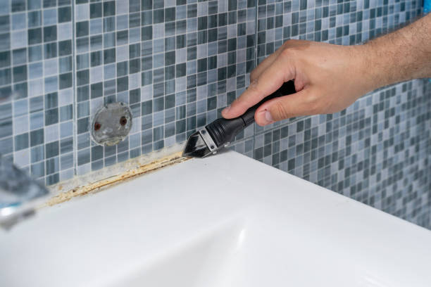 Best Mold Removal Specialists  in North Chicago, IL